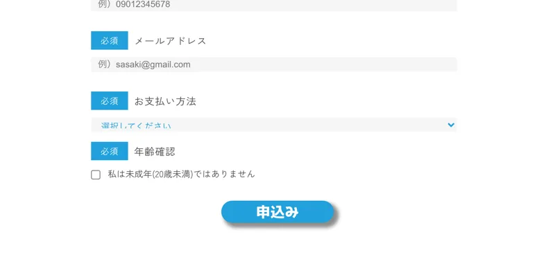 申込フォームに表示された「銀行振込（30日後払い）」の案内