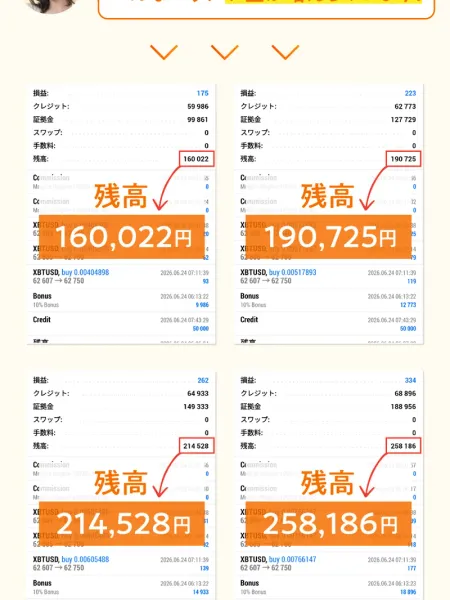 残高160,022円・190,725円・214,528円・258,186円と表示された4件の取引画面スクリーンショット